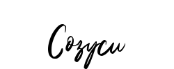 Cozycu - logo